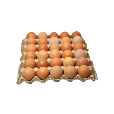 Chicken Eggs