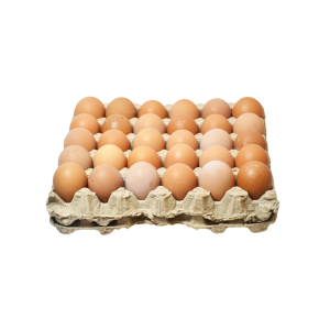 Egg paper Crate - Image 3