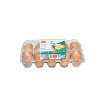 Chicken Eggs in 15 holes Transparent pack