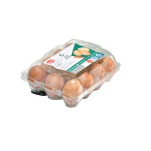 Chickens Eggs in 12 Holes Transparent Pack