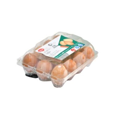 Chickens Eggs in 12 Holes Transparent Pack