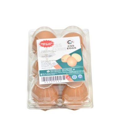Chicken Eggs in 6 Holes Transparent Pack