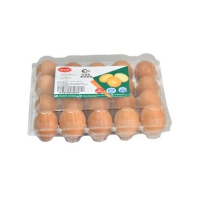 Chicken Eggs in 20 holes Transparent Pack