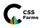 CSS Online Store